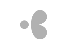 Bisdesk logo